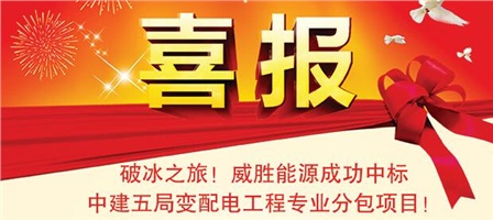 佳績(jī)頻傳——威勝電氣中標(biāo)多個(gè)國(guó)家電網(wǎng)項(xiàng)目